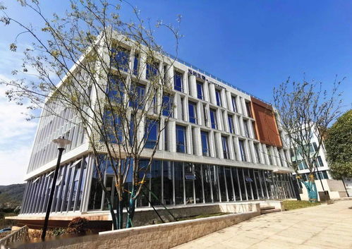 湘江科創(chuàng)基地一期獲批省級(jí)孵化器，為區(qū)域創(chuàng)新發(fā)展注入新動(dòng)能